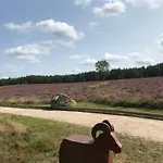Naturhotel Hof Ehlers Pensionat 3*