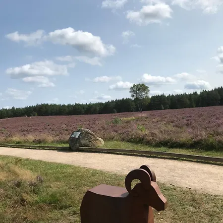 Naturhotel Hof Ehlers Affittacamere 3*