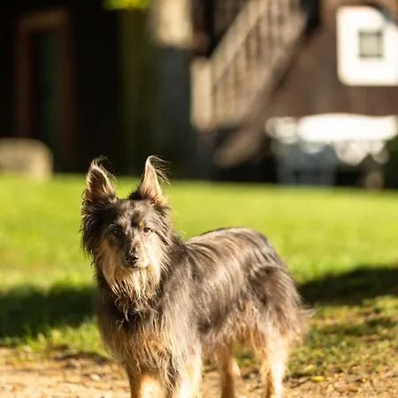 Naturhotel Hof Ehlers Affittacamere