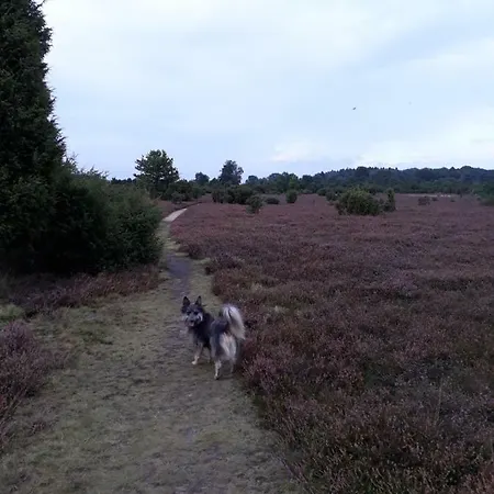 Naturhotel Hof Ehlers 3*