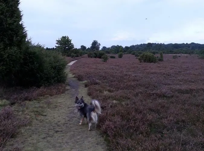 Naturhotel Hof Ehlers 3*